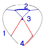 Schema der Funktion des Parachute